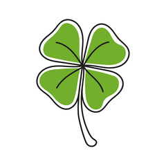 Fototapeta premium Four leaf clover for good luck
