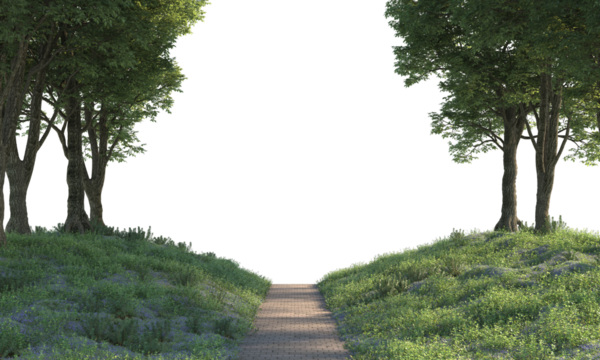 Way path through grass field and trees way path through grass field and trees