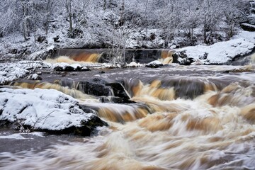 Long exposure shot of a river streaming through a forest covered by snow
