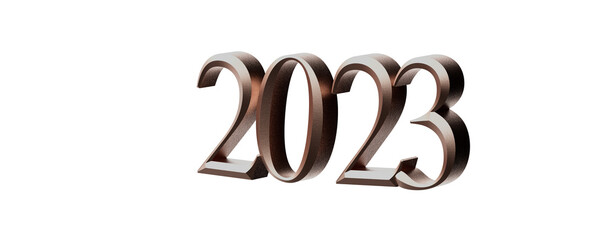 2023 year