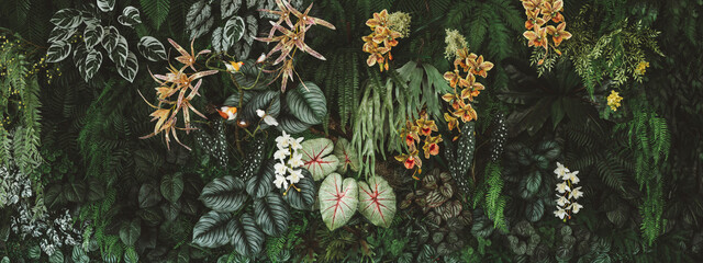 water drops on the grass