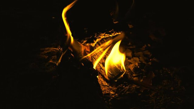 Flames of campfire on a black background.