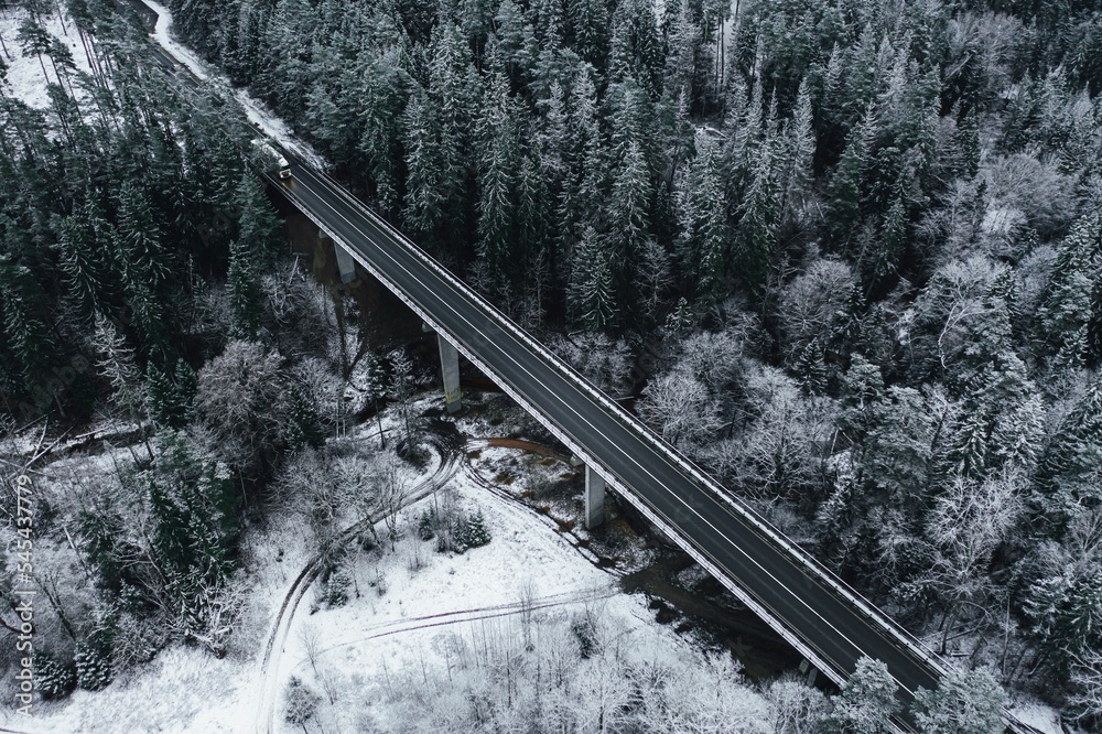 Canvas Prints View of a bridge surrounded by lush vegetation. Winter landscape.