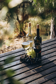 White and red wine bottles standing on wooden table. Wine bottles, sweet grapes and wine glasses in a summer garden.