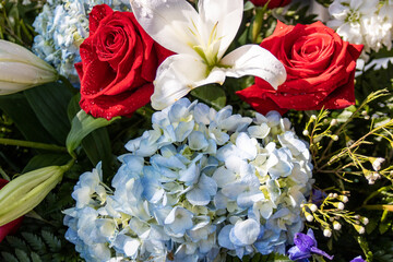 Pretty Flowers