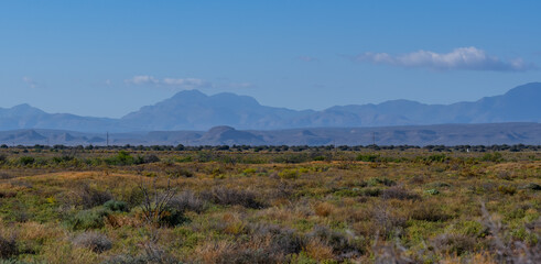Fototapeta premium Halbwüstenlandschaft und Gebirge bei Oudtshoorn Südafrika
