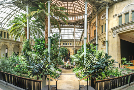 Copenhagen, Denmark. Circa September 2022. Interior hall of the Ny Carlsberg Glyptotek, a glass-domed conservatory with palms