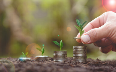 Tree growing on stack of coins and male hand with green bokeh background, business development to success, Business Finance and Money concept.