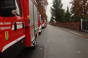 Many Fire Brigade Cars in a row with a street and Autumnal trees