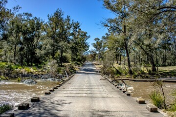 Scenic view of the Severn River bridge over a lake near Emmaville, Australia, surrounded by a forest