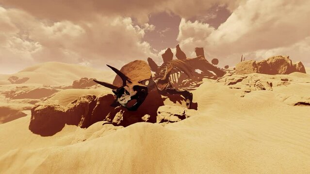 Skeleton of a prehistoric dinosaur in a desert area