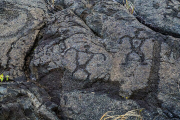 Prehistoric carving on a lava rock part of the Pu'u Loa Petroglyphs along the Chain of Craters Road in the Hawaiian Volcanoes National Park on the Big Island of Hawaii in the Pacific Ocean