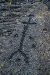 Prehistoric carving on a lava rock part of the Pu'u Loa Petroglyphs along the Chain of Craters Road in the Hawaiian Volcanoes National Park on the Big Island of Hawaii in the Pacific Ocean