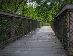 Walkway with beach public park, Lido Key, Sarasota, Florida