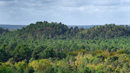 Fototapeta na wymiar Hills of the trois Pignons forest in Île-de-France region