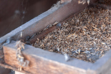 Old abandoned historic brick brewery in Budapest, Hungary