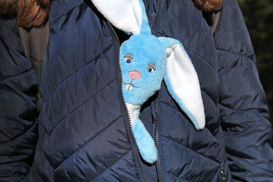 A toy rabbit made of plush sits in a girl's bosom and looks out of a blue jacket. Rabbit - a symbol of 2023 year according to the eastern calendar. New Year of 2023. Christmas, celebration concept