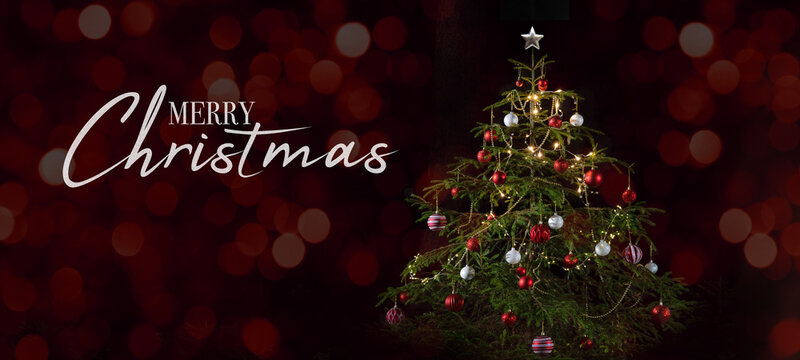 Merry Christmas celebration holiday background banner panorama greeting card - Decorated christmas tree fir,  black background with red bokeh lights