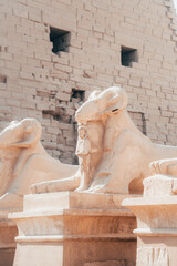 Egypt, the land without laws