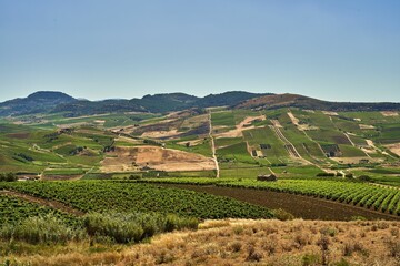 Aerial view of vast open lush green agricultural fields and hills under blue sky