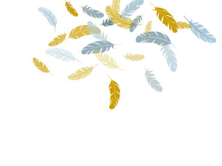 Fototapeta premium Detailed majestic feather on white design.