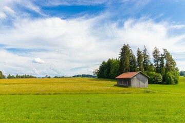 Obraz premium a lonly cabin in the Allgaeu, Germany.