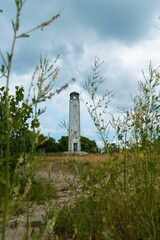 Vertical shot of the Livingstone Memorial Lighthouse captured through the plants in Detroit, US
