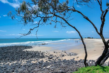 Shore covered with stones and trees and the Pacific ocean in the background, Queensland, Australia