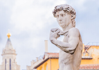 David by Michelangelo in Florence, Italy. Example of body perfection in marble.