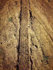 Trace de roue sur un terrain térreux