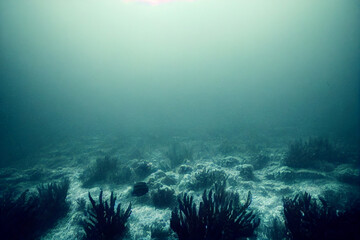 Fototapeta na wymiar Mysterious misty reef landscape 