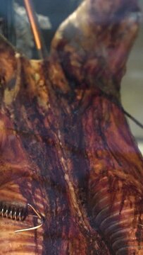 HD of smoking pork neck in smokehouse