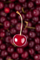 creative image of single cherry with spig in front of defocused heap of berries