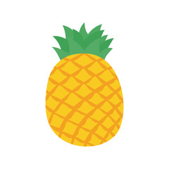 vector pineapple Sweet fruit for summer time