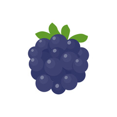 Blueberry vector. Fresh berries. Healthy fruits contain antioxidants.