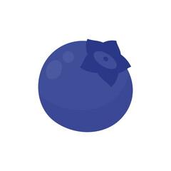 Blueberry vector. Fresh berries. Healthy fruits contain antioxidants.