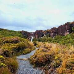 Fototapeta na wymiar Scenic display of the Taranaki Falls track in New Zealand