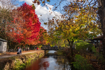 Obraz premium Vistors walk the paths of the Delaware Canal Trail during a warm fall day as the trees show their autumn foliage.