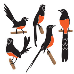 Vector collection of oriental magpie bird designs on a white background