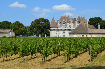 Fototapeta na wymiar Le vignoble de Monbazillac (Dordogne - Nouvelle-Aquitaine - France)