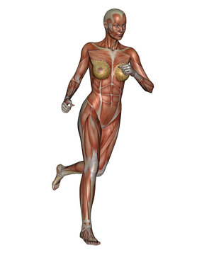 Woman running - 3D render
