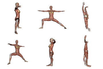 Warrior yoga pose for woman with muscle visible