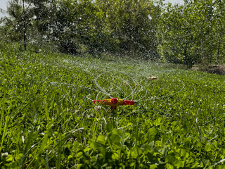 Landscape automatic garden watering system with rotating sprinklers installed