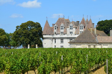 Fototapeta na wymiar Le vignoble de Monbazillac (Dordogne - Nouvelle-Aquitaine - France)