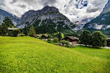 Beautiful scenery of countryside houses in grass field with fresh trees and mountains in background