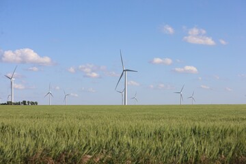 Fototapeta na wymiar Landscape with wind generator turbines in a green field and a cloudy blue sky in the background