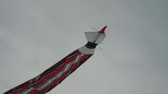 Balinese Traditional Kites JANGGAN and BEBEAN on Bali Kite Festival Summer Sky Slow Motion