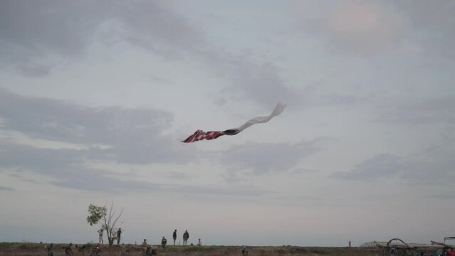Balinese Traditional Kites JANGGAN and BEBEAN on Bali Kite Festival Summer Sky Slow Motion