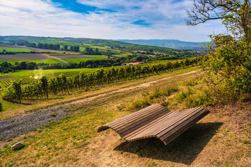 Obraz premium A comfortable lounger to rest with a view of the vineyards in Rhineland-Palatinate/Germany
