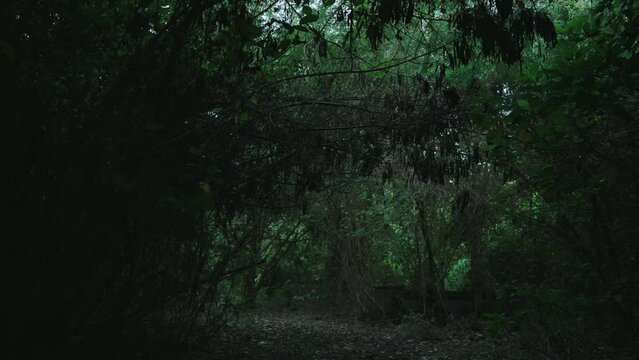 Taman Festival, The Ghostly Abandoned Theme Park in Padang Galak Bali, Indonesia